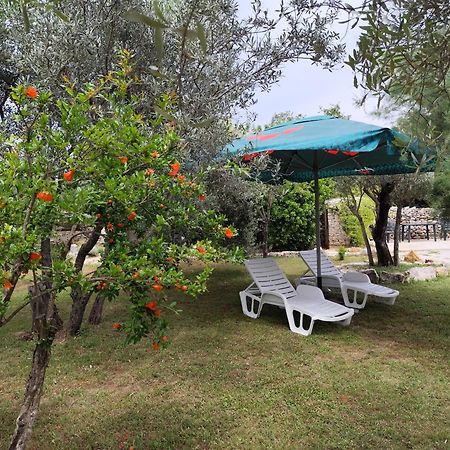 FažanaMarti'S House In The Olive Groveアパートメント エクステリア 写真