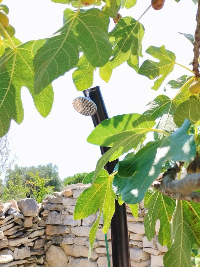 FažanaMarti'S House In The Olive Groveアパートメント エクステリア 写真