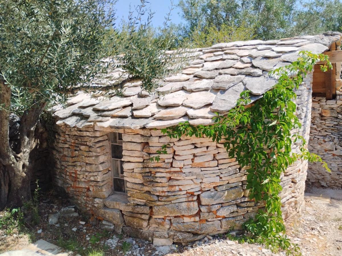 FažanaMarti'S House In The Olive Groveアパートメント エクステリア 写真