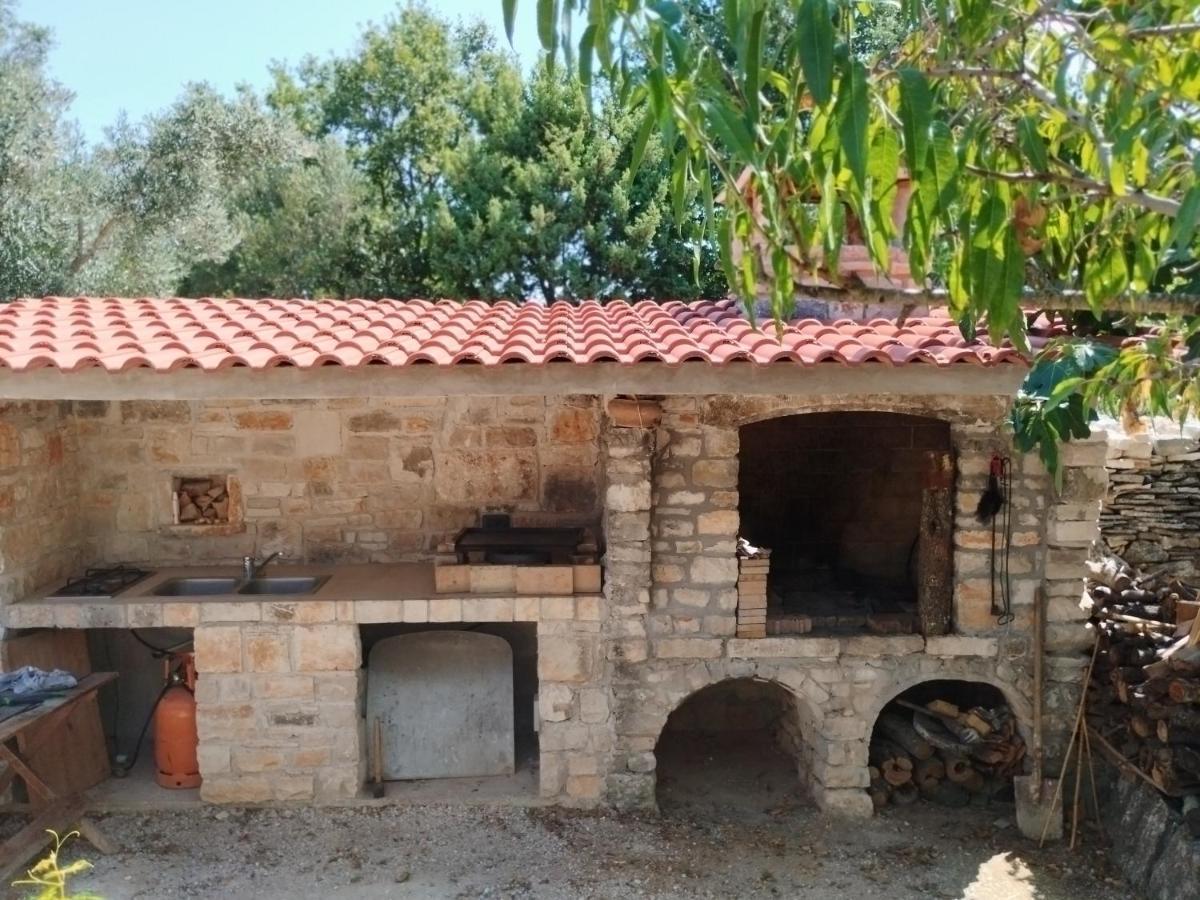 FažanaMarti'S House In The Olive Groveアパートメント エクステリア 写真