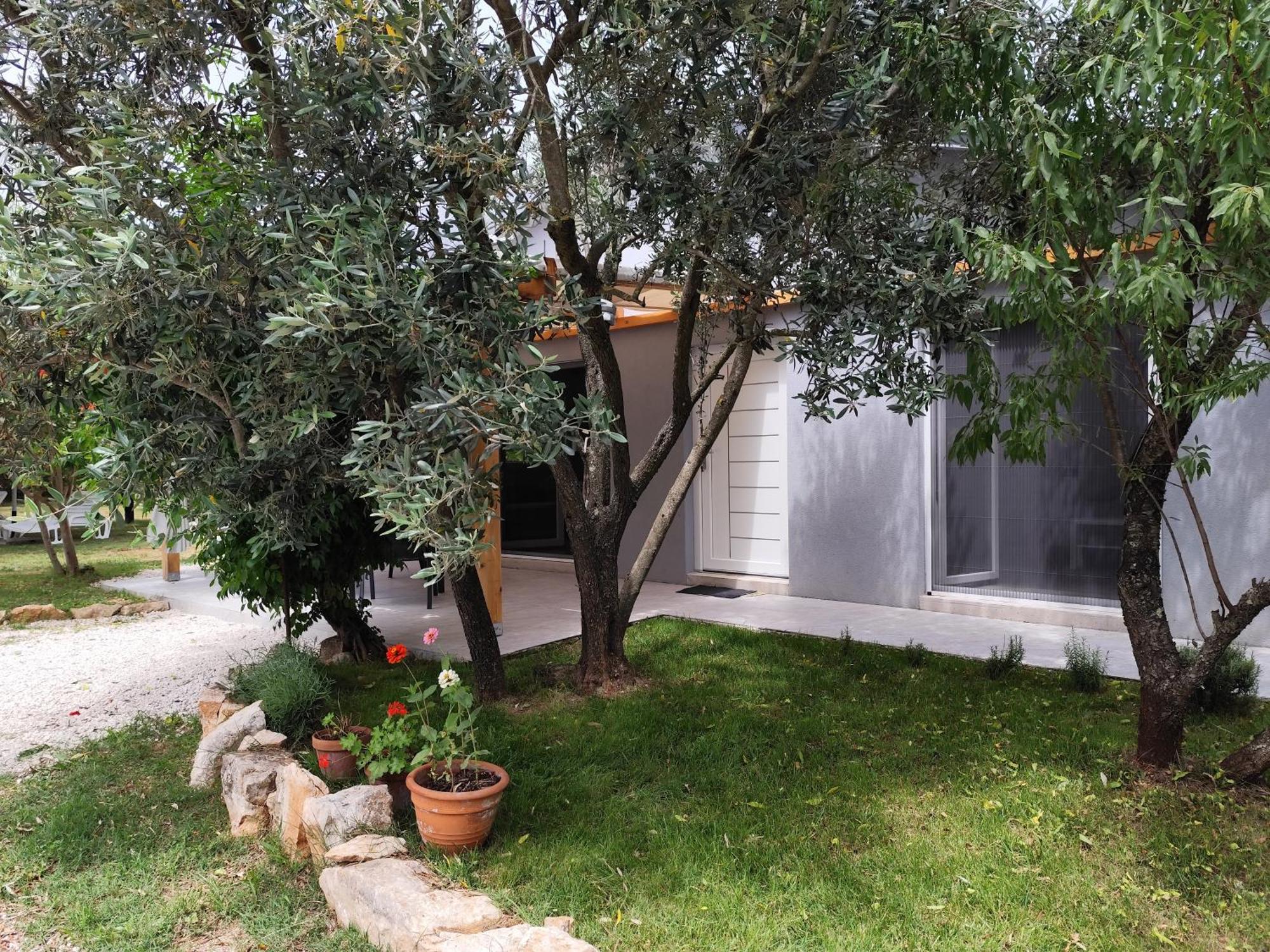FažanaMarti'S House In The Olive Groveアパートメント エクステリア 写真