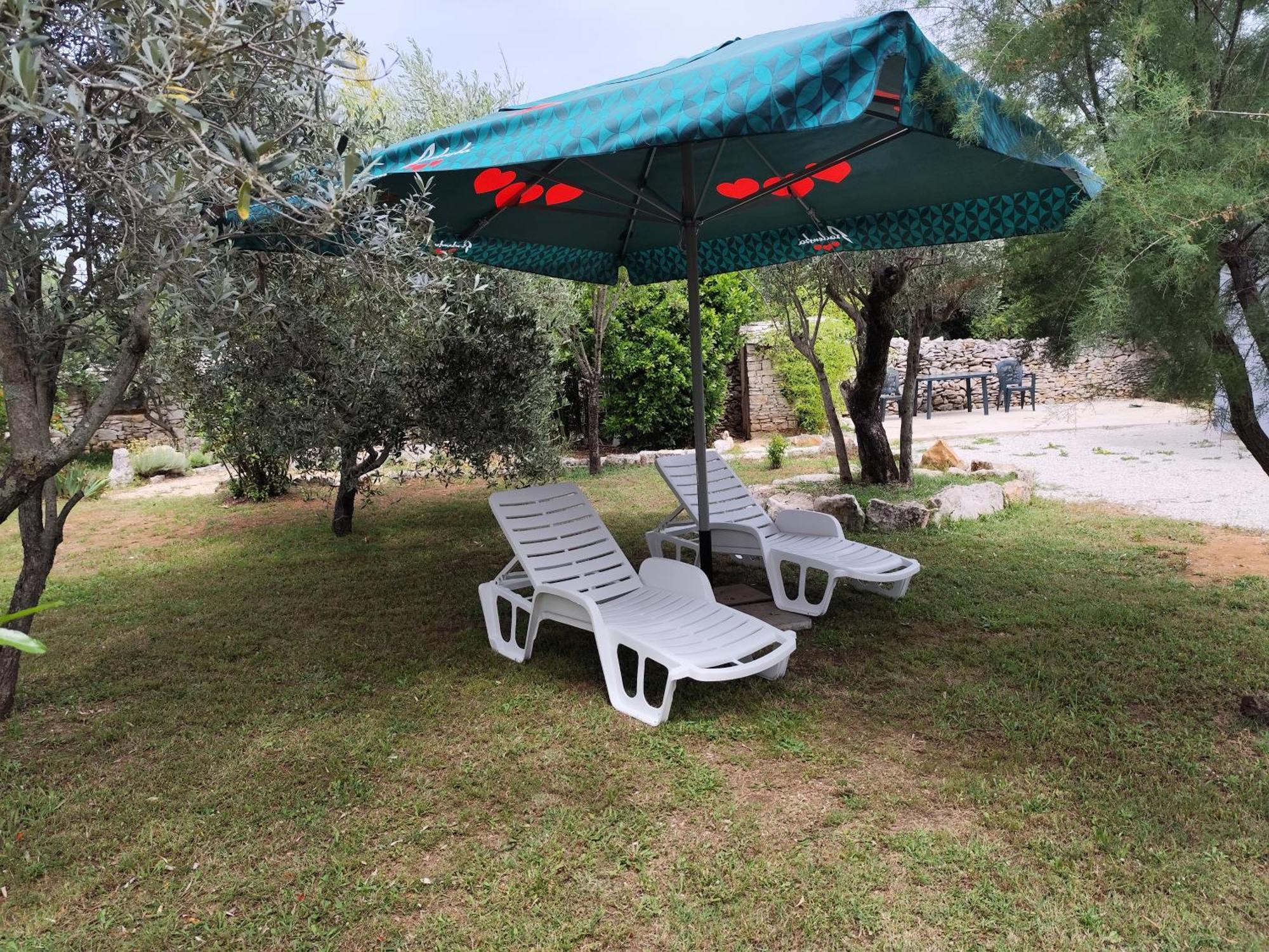 FažanaMarti'S House In The Olive Groveアパートメント エクステリア 写真