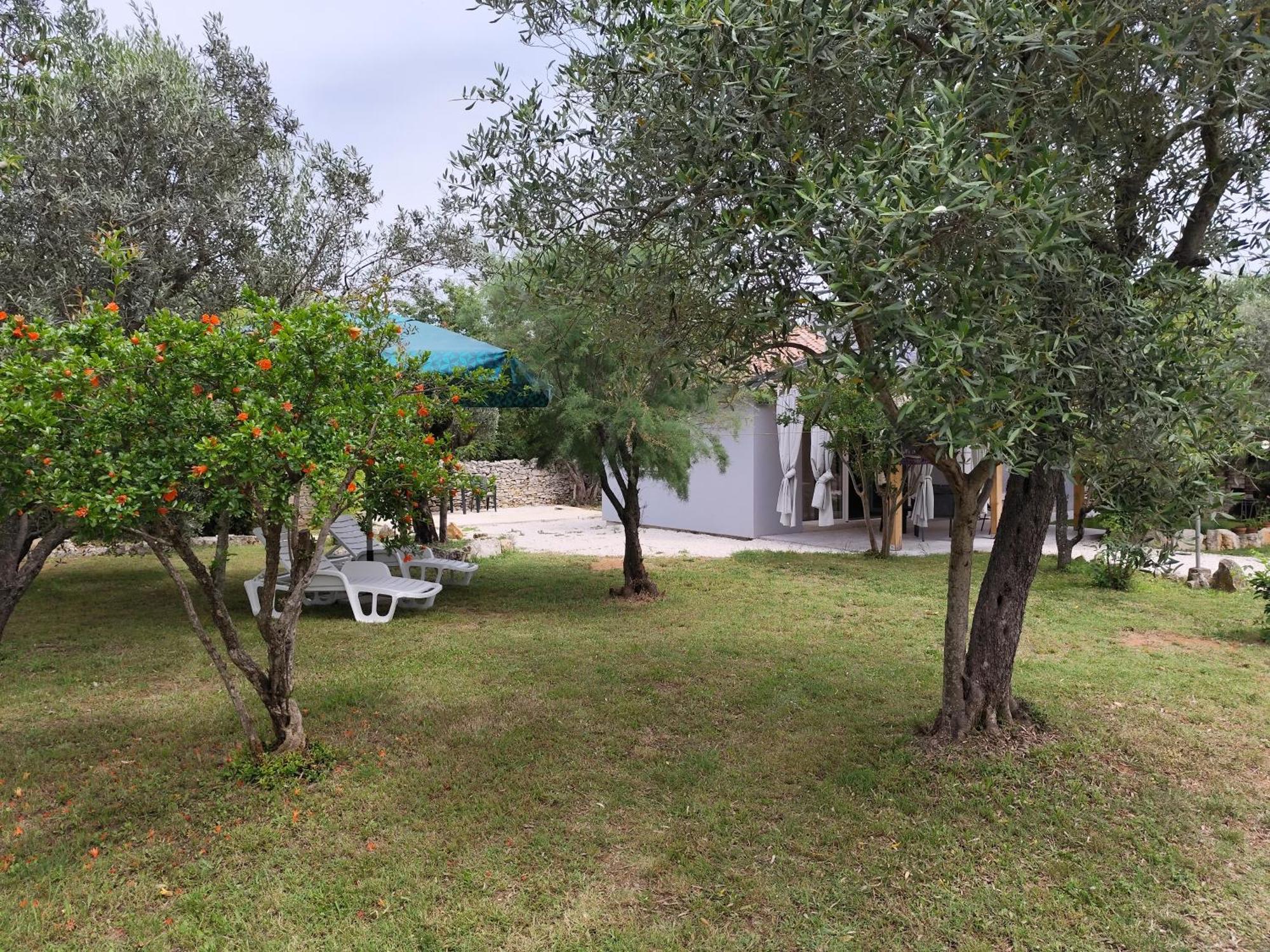 FažanaMarti'S House In The Olive Groveアパートメント エクステリア 写真